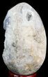 Crystal Filled Celestine (Celestite) Egg - Madagascar #41686-2